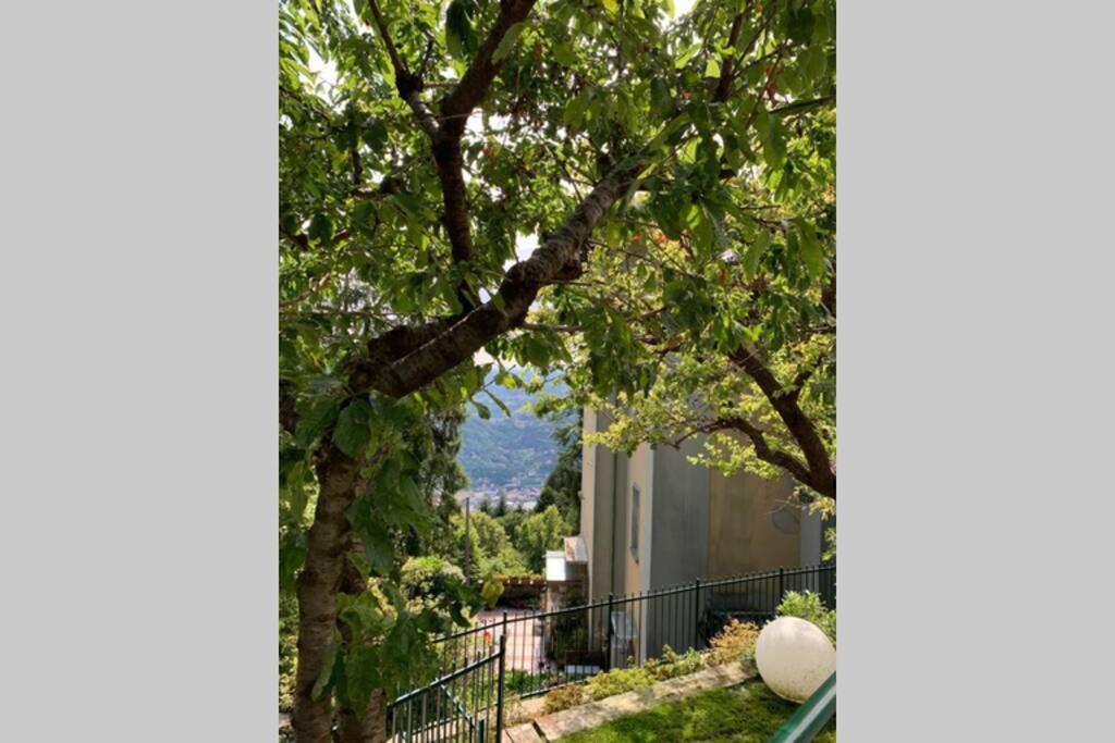 The Cherry Garden House Loft Lusso Appartamento Brunate Esterno foto